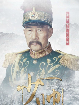 少帅剧情介绍_剧情家