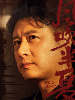 风吹半夏剧情介绍_剧情家