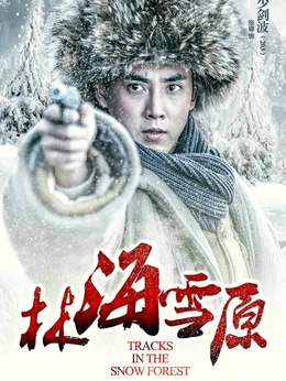 林海雪原剧情介绍_剧情家