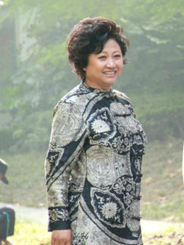 岳父太囧剧情介绍_剧情家